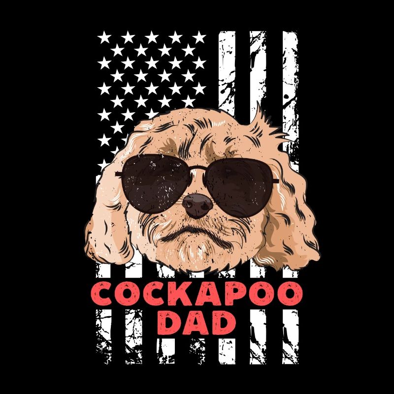 Cockapoo Hund