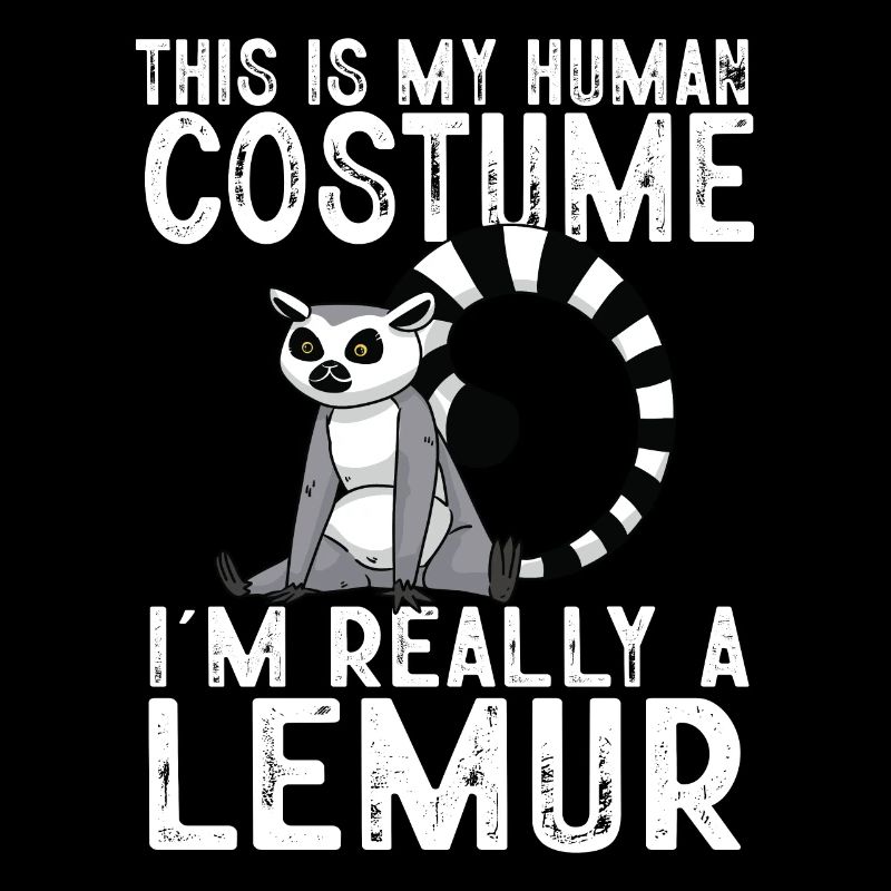 Lémurien à queue annelée