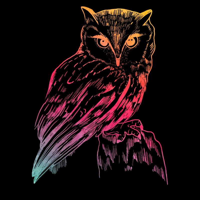 owl