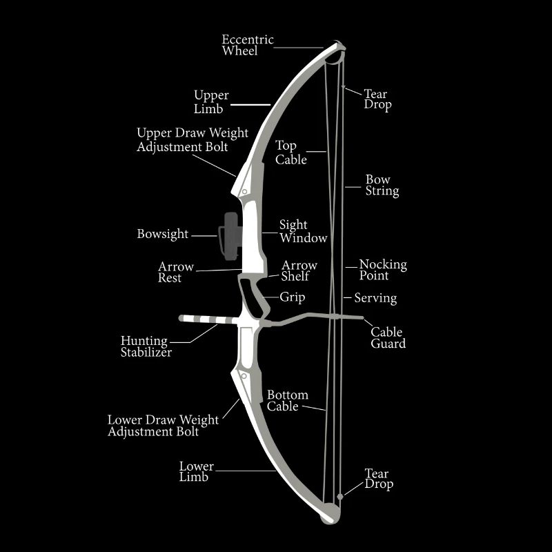 Bow Archery Archery Hunting Archery