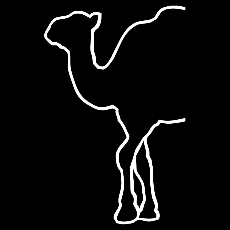 Camel - Kamel - Dromedar