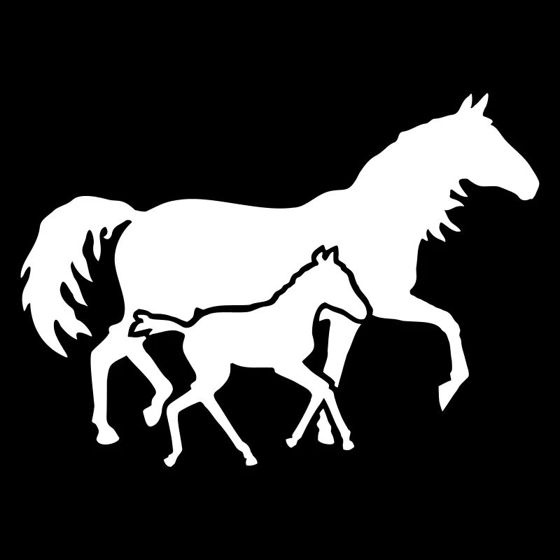 Fohlen mit Stute