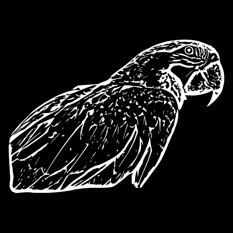 Perroquets Oiseau Blanc