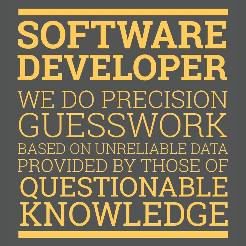 "Software Developer" | Programmierer
