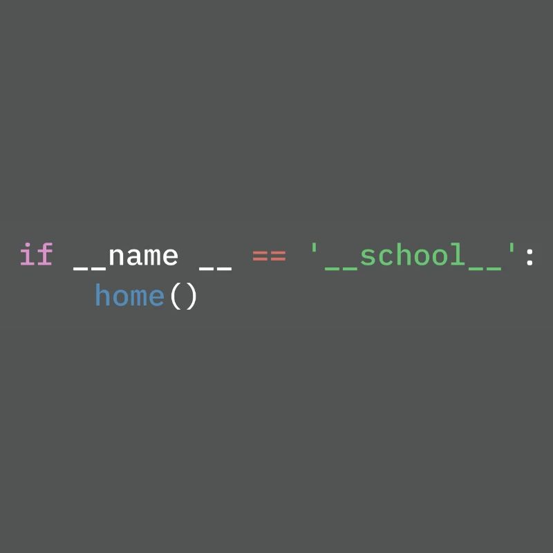 Python Programmierer Schule Schüler lustig