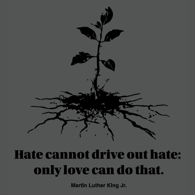 Hate cannot drive out hate: only love can do that