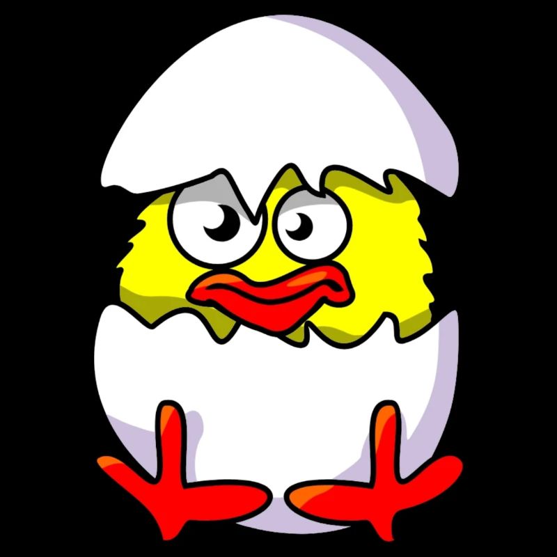 Chick and shells