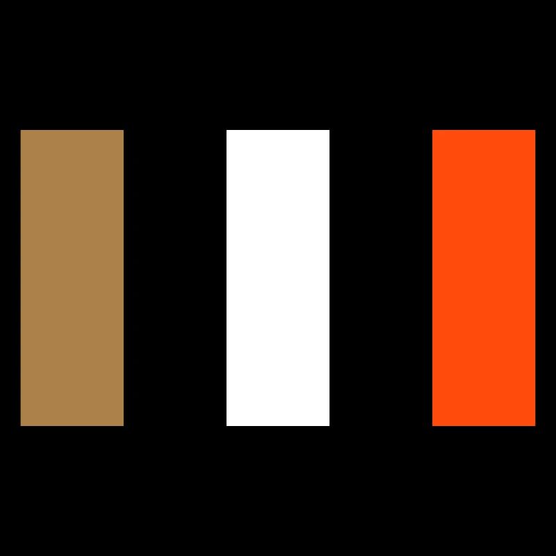 Flag - Striber VECTOR