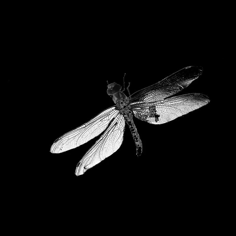 Libelle