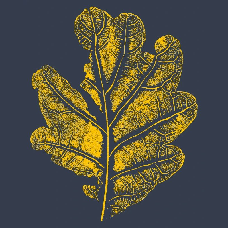 Leaf oak/ oak leaf