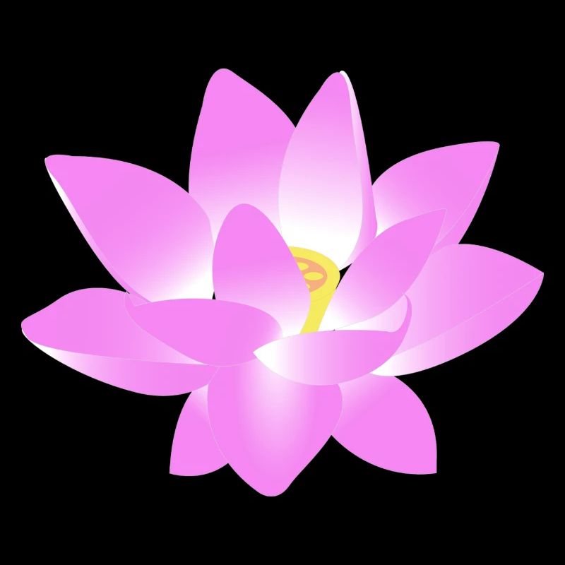 Blume Lotus