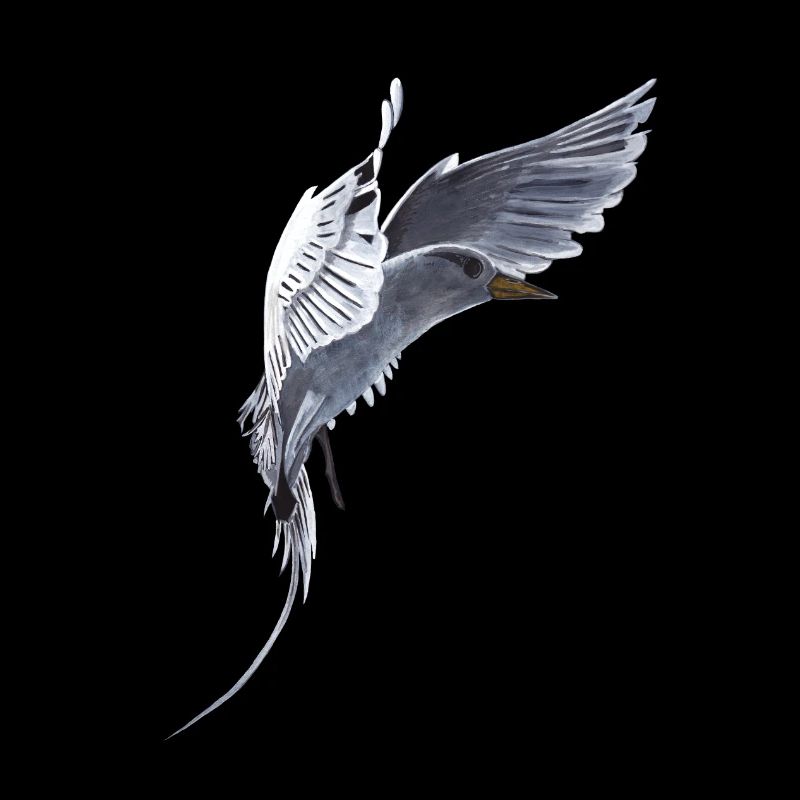 Queue Oiseau tropical