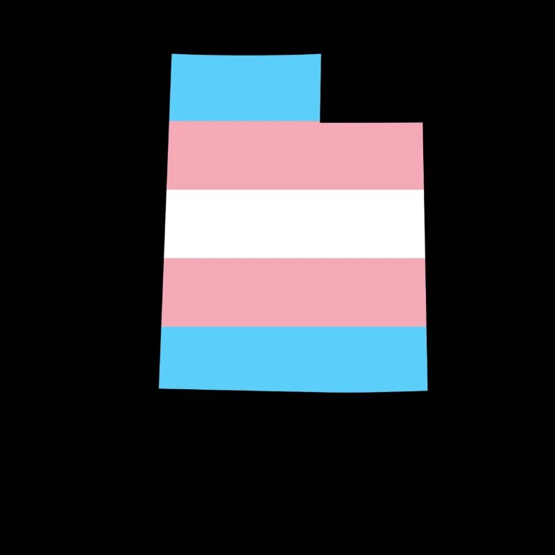 Trans Flag Utah LGBT Pride Support