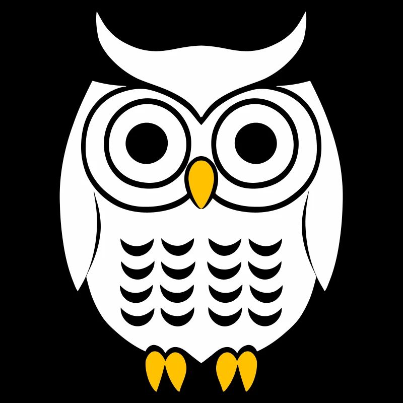 Owl Black and White