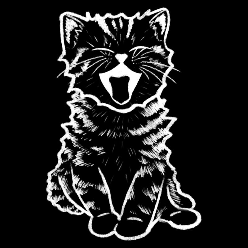 Bébé chat