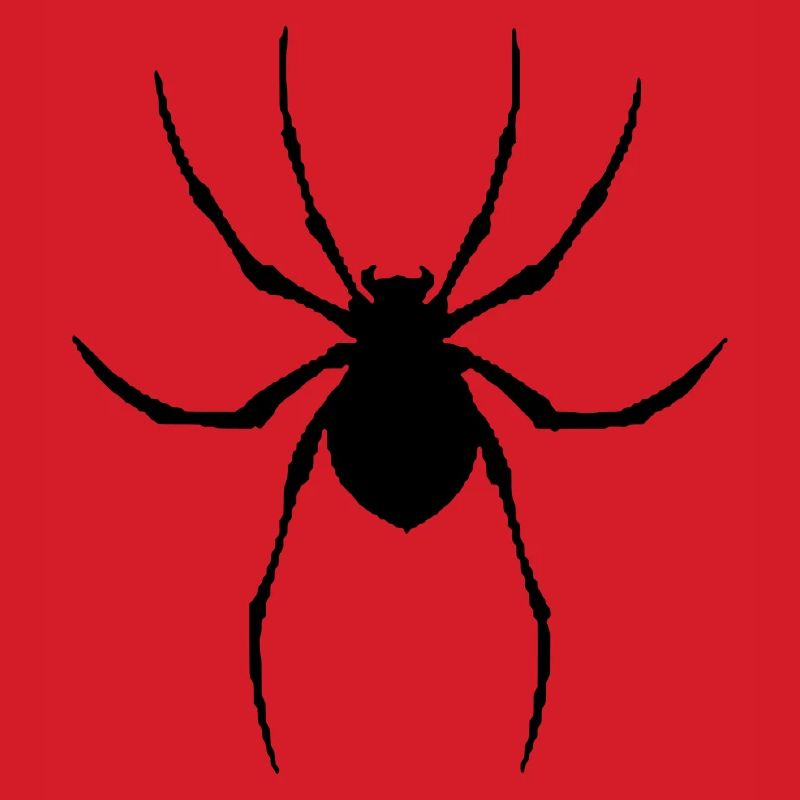 Spider vector graphic