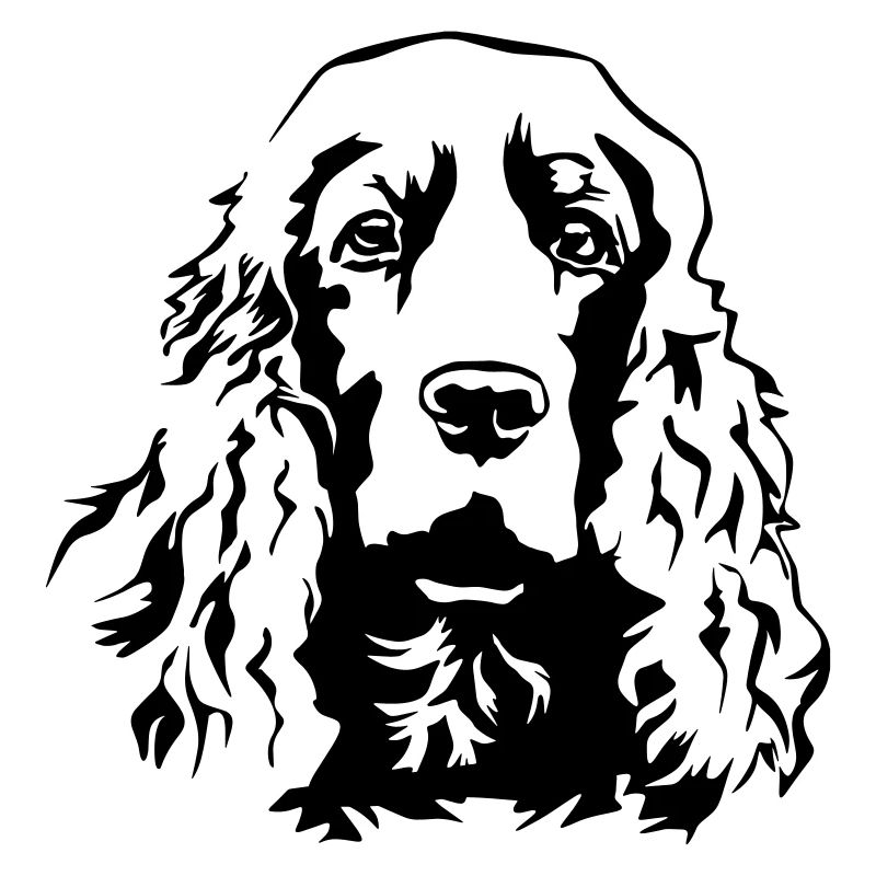 Cocker Spaniel Kopf