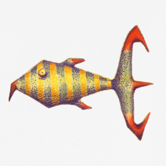 Zebrakrallen Fisch