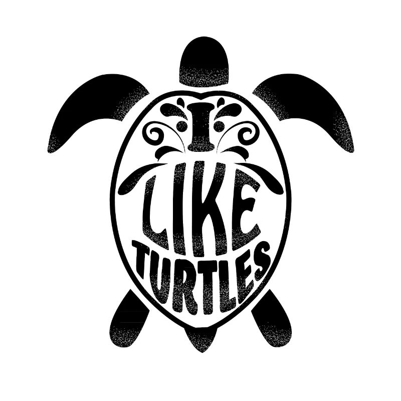 cool turtle gift