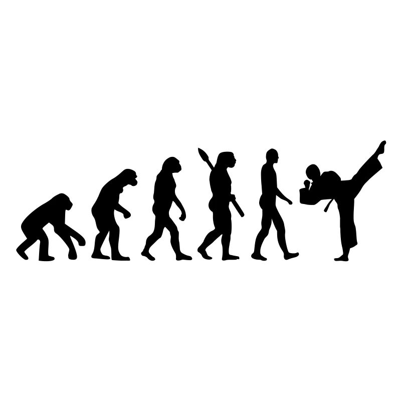 Evolution Karate