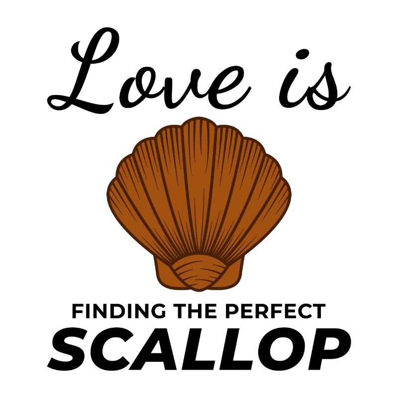 Scallop Seashells Collector Beachcomber Shellfish