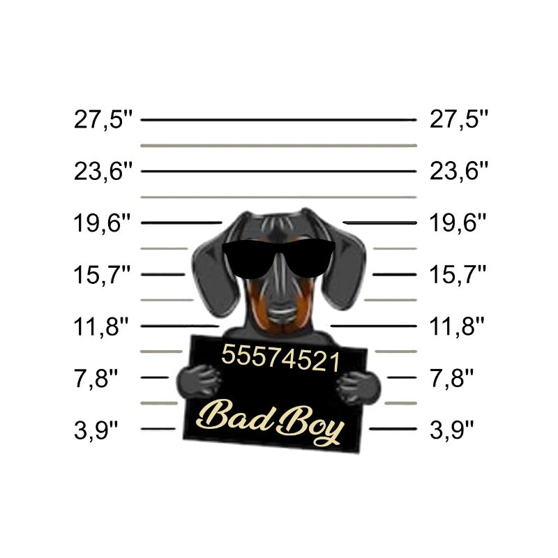 Bad Boy Dackel oder junger Dobermann - Böser Hund