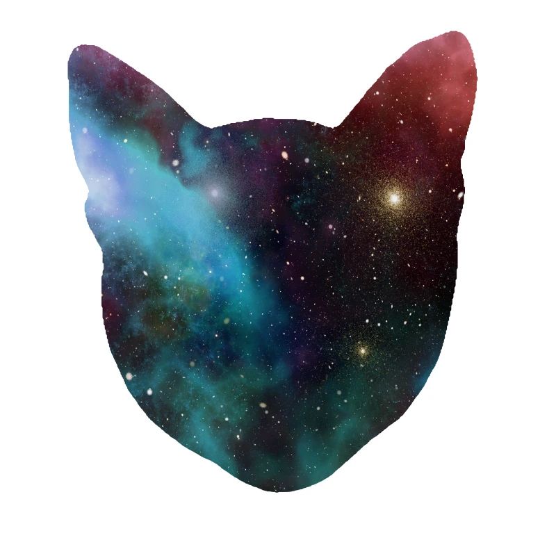 chat de l'espace cadeau de chat de l'espace