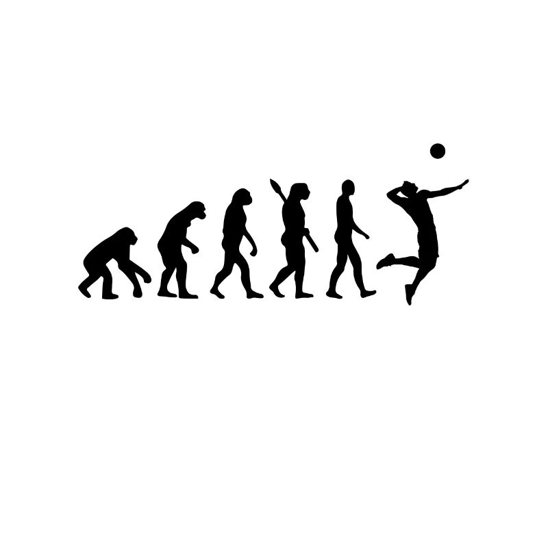 Evolution du volley-ball | Evolution volley-ball