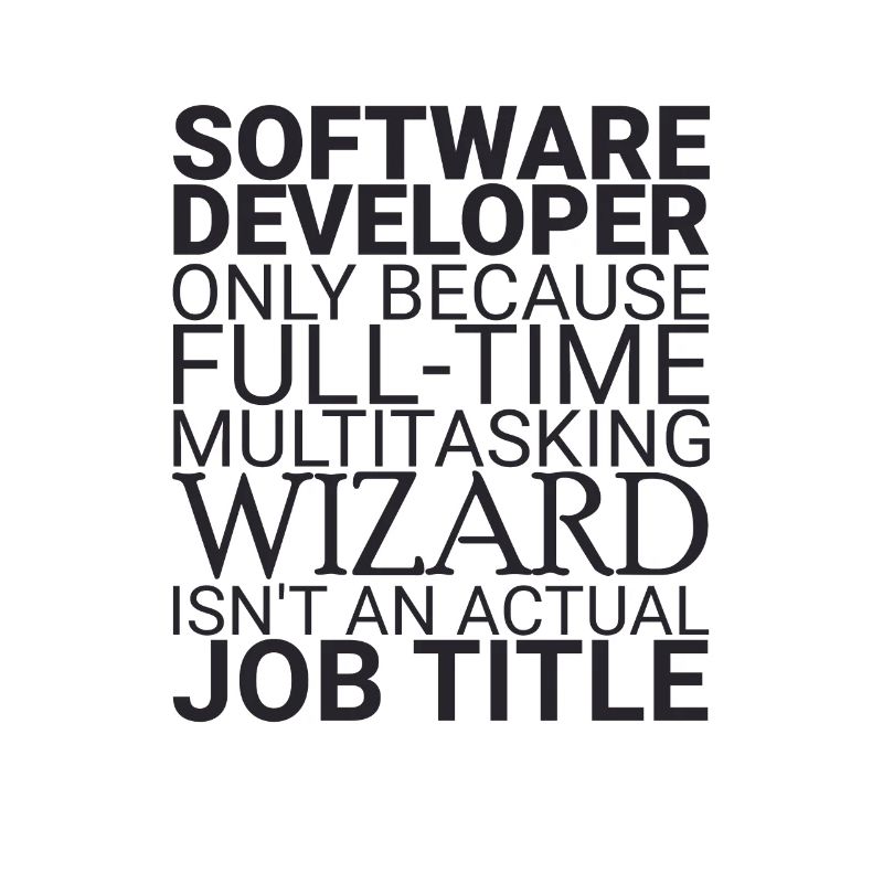 "Software Developer Wizard | Programmer"