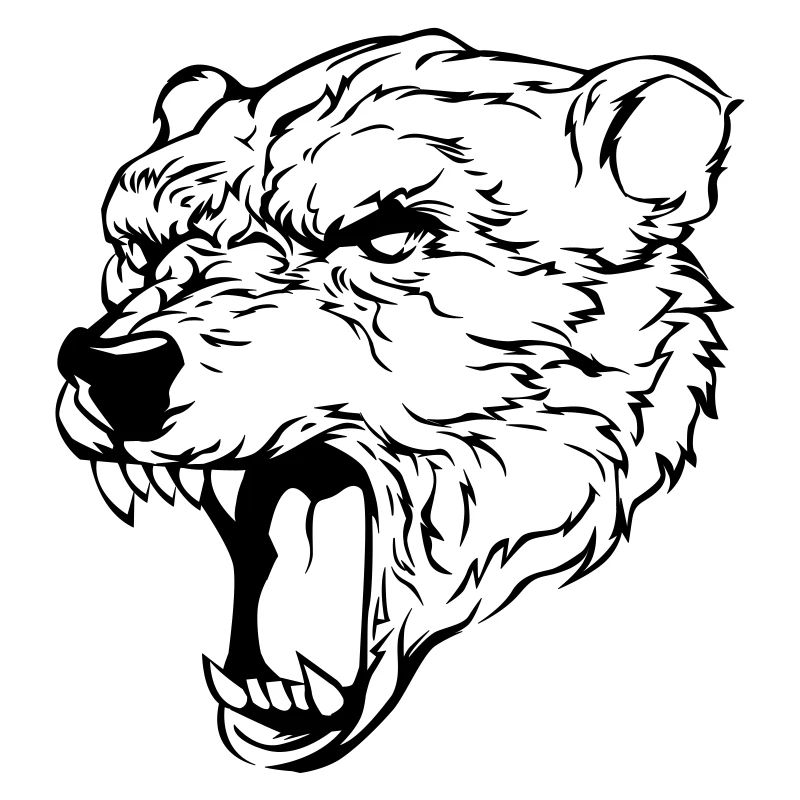polar bear head bear polar bear head