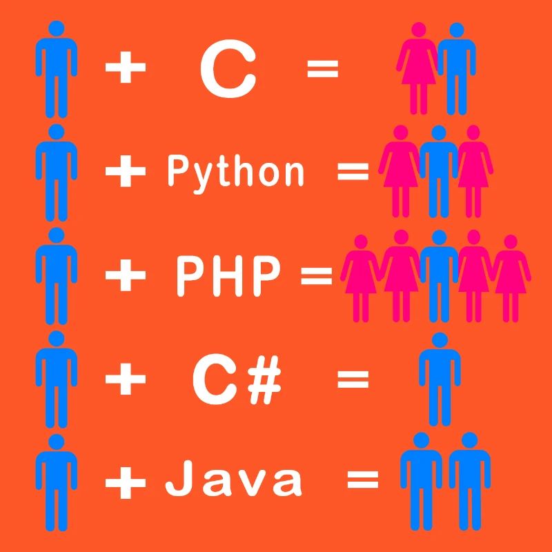 Programmer