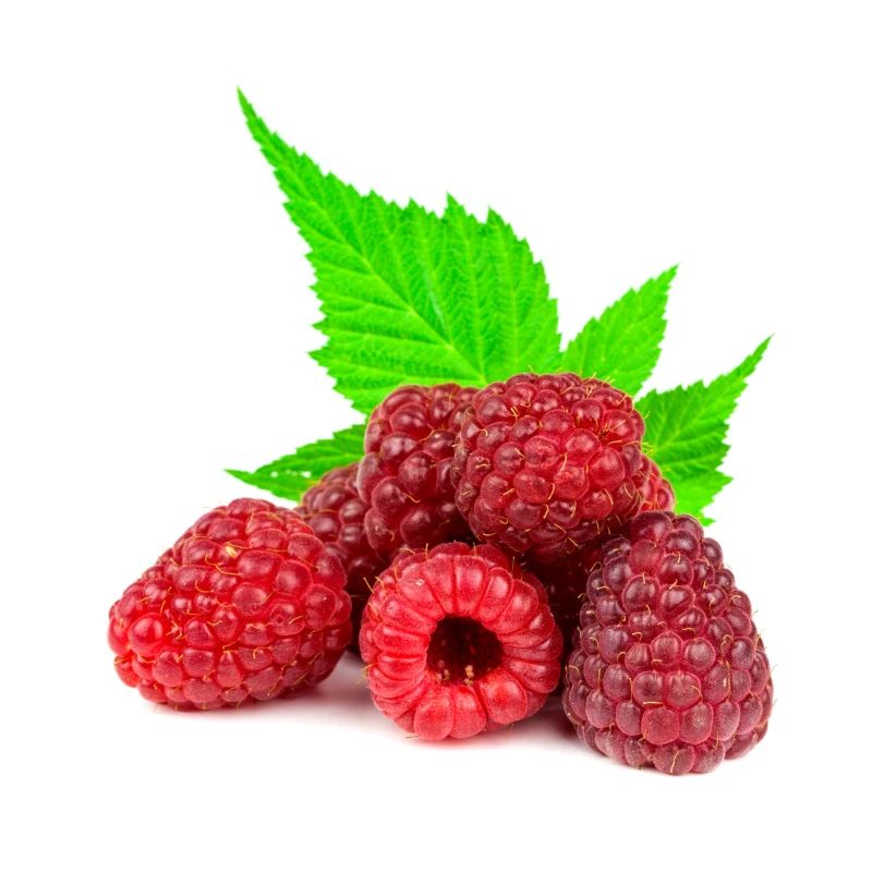 Himbeere. raspberry