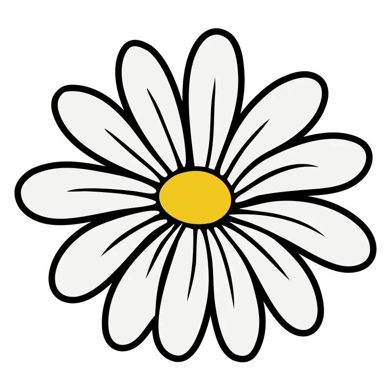 Gänseblümchen