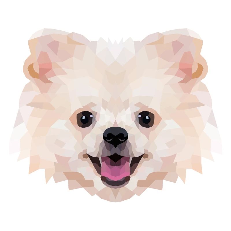 Polyart Dwarf Spitz