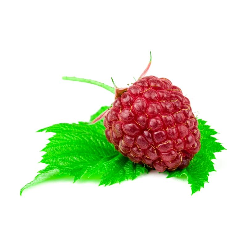 Raspberry. Raspberry