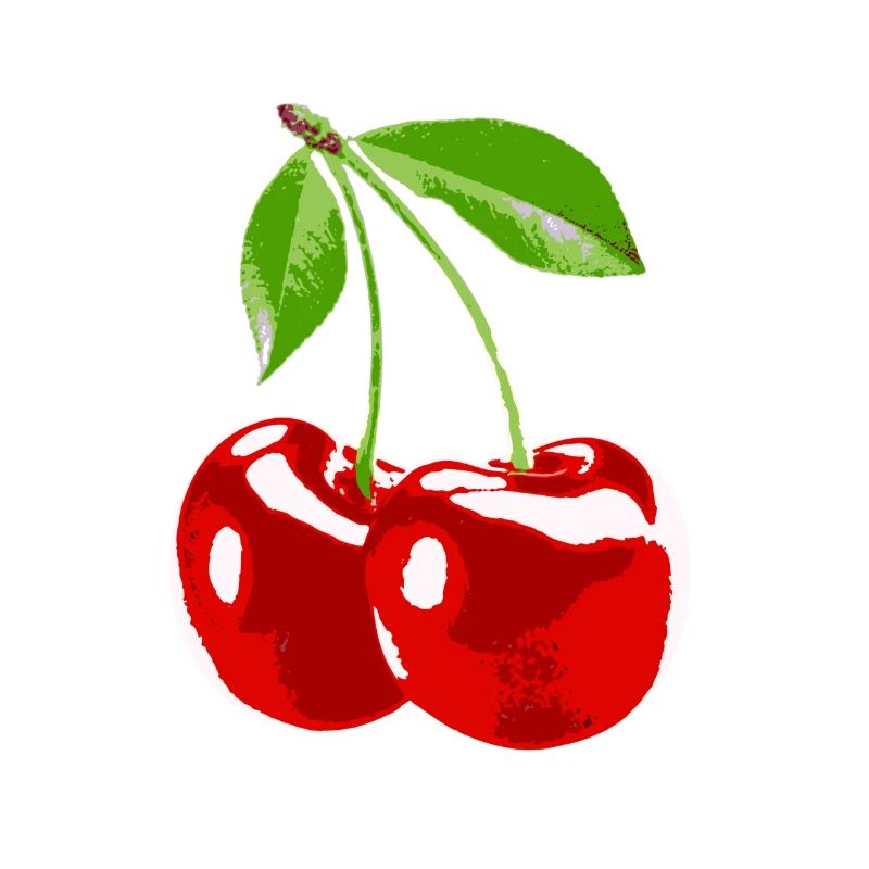 Cherry Kirsche Obst Ernte
