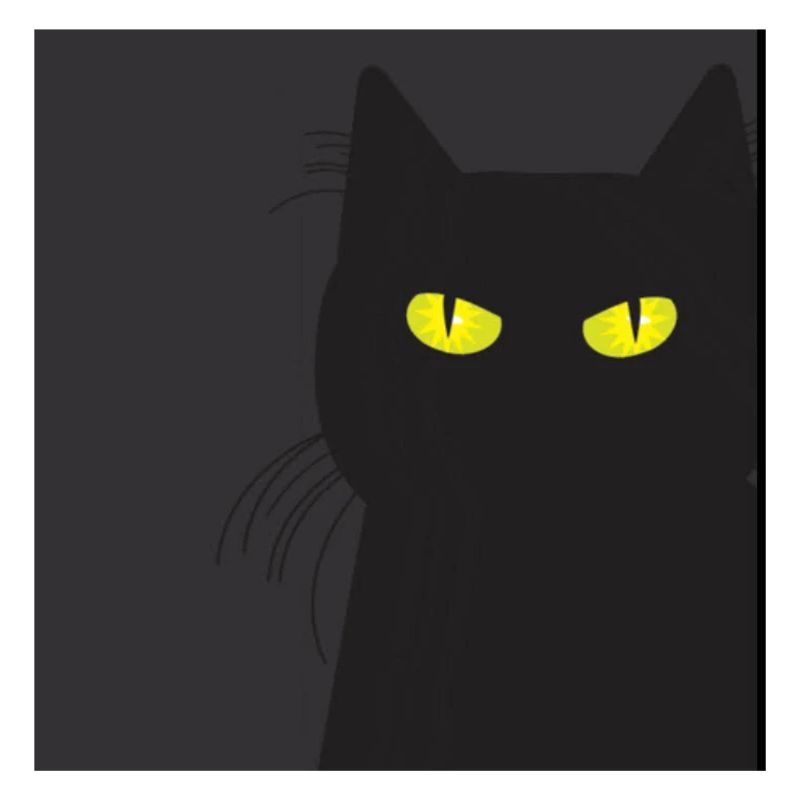 BLACK CAT VOUS REGARDE. Chat qui vous regarde !!