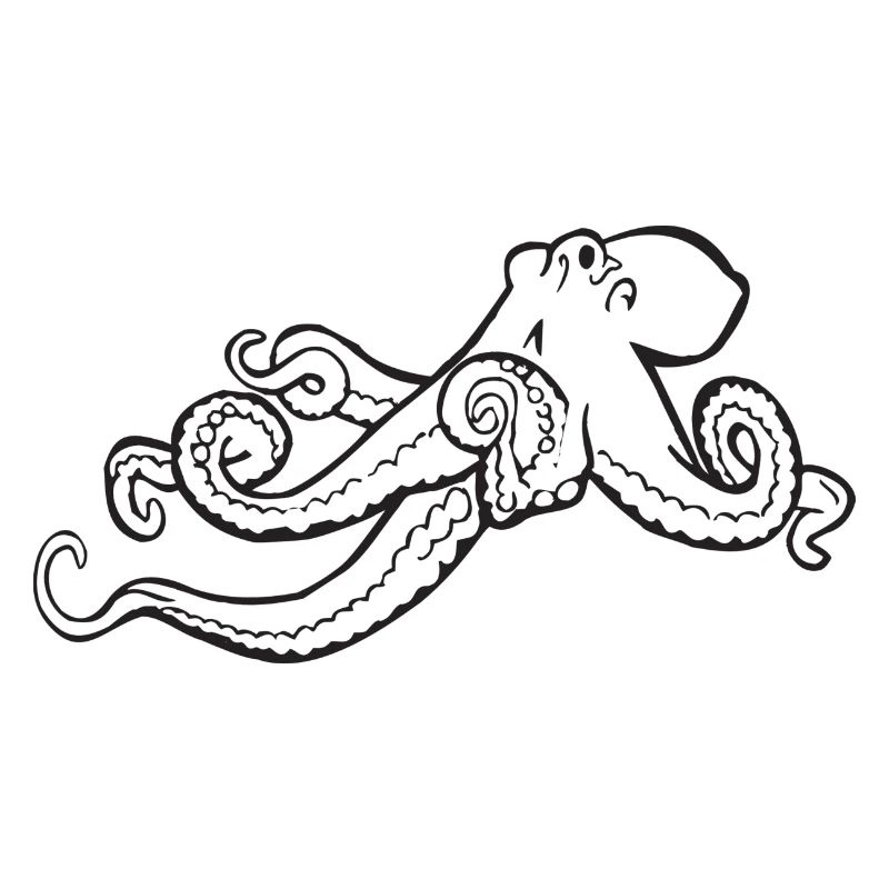 squid giant octopus octopus octopus squid sepia fish