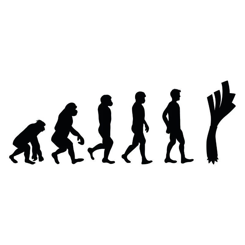 Leek evolution