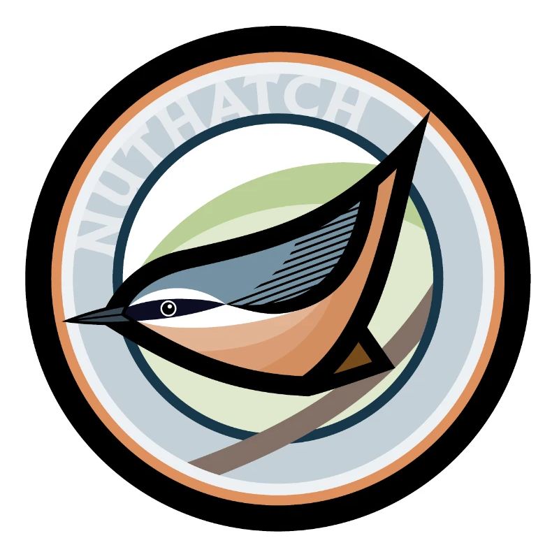Nuthatch