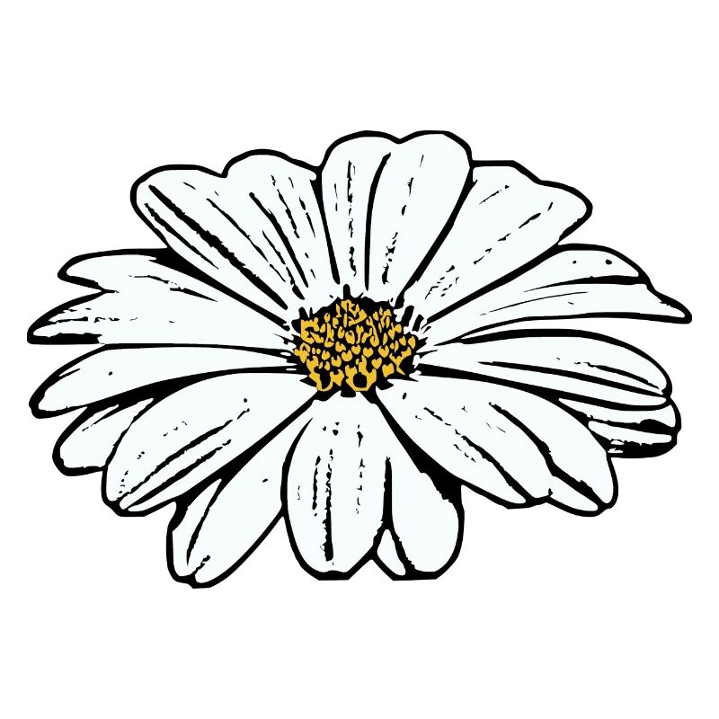 Fleur Blanche Fleurs Blanches Fleurs Blanches Fleurs Blanches