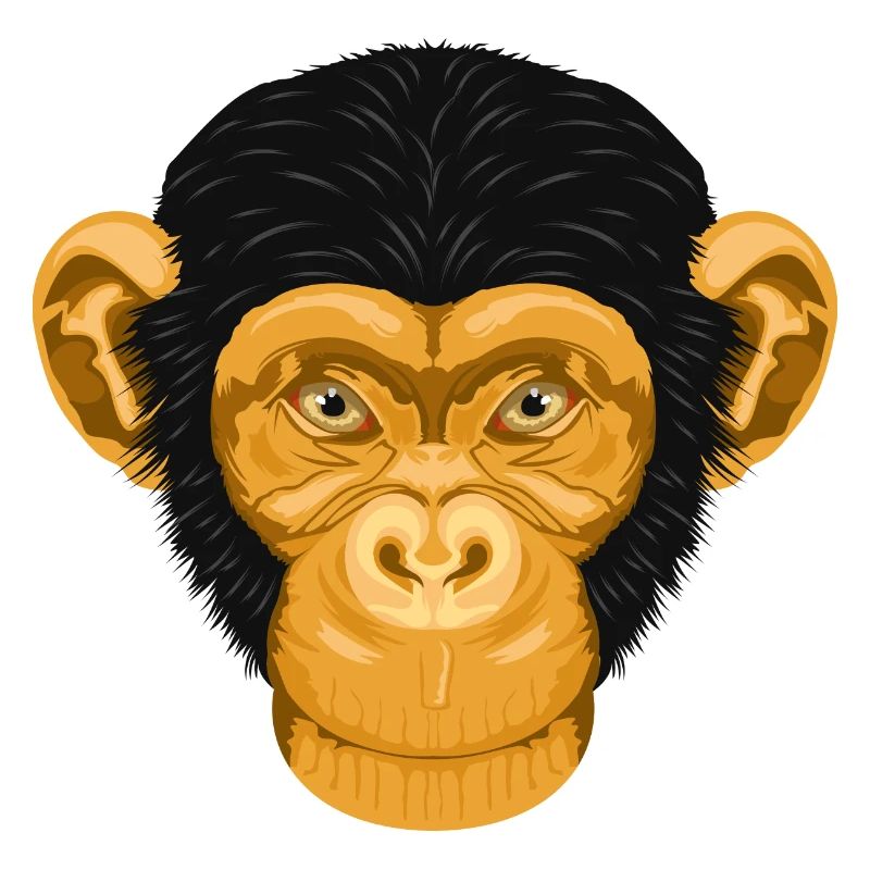 Monkey / Affe