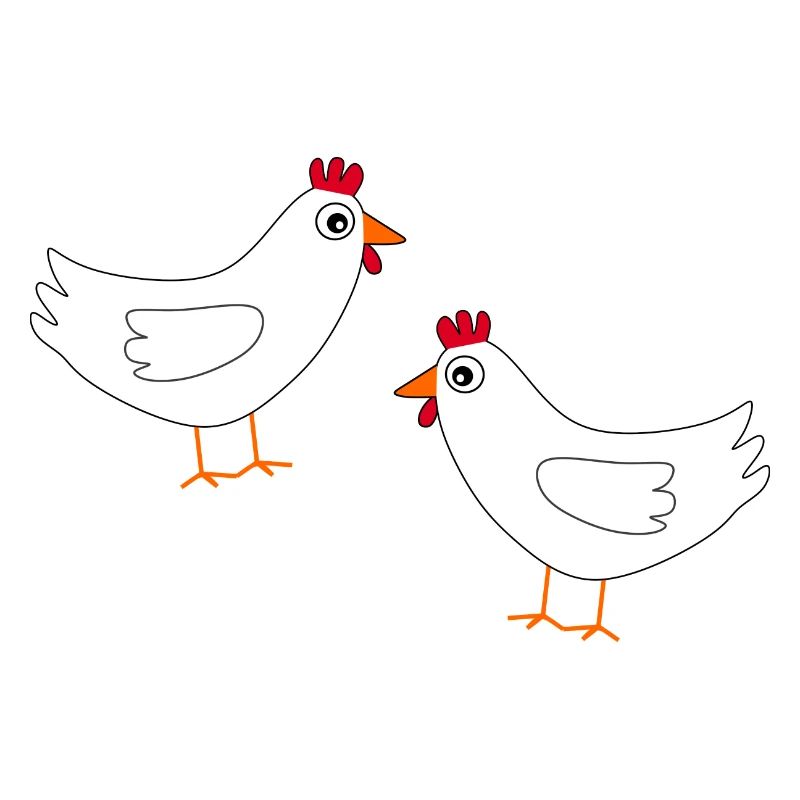 Chicken White White Chickens Hens Easter