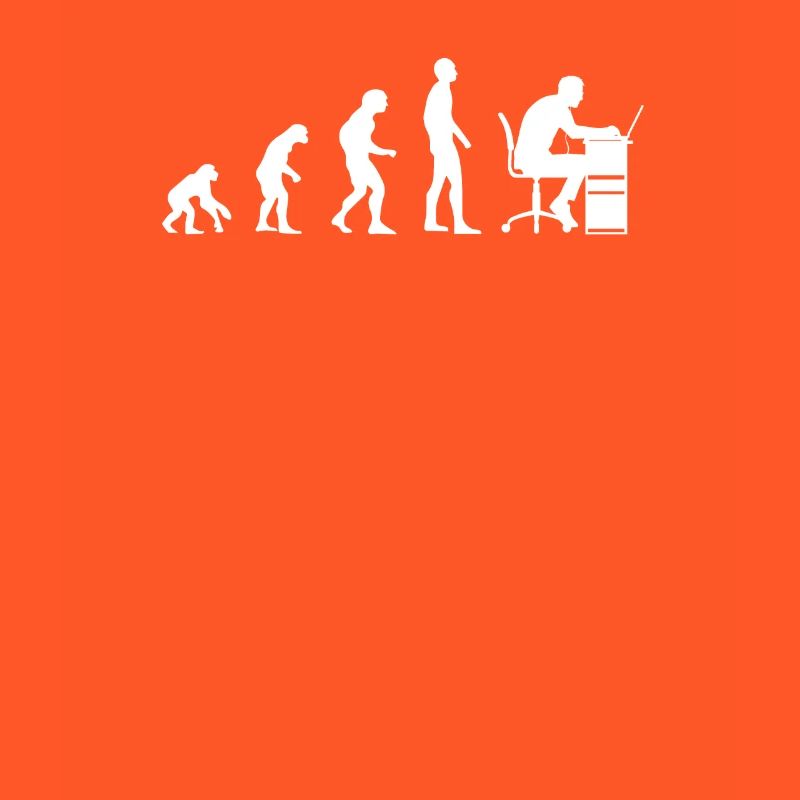 Programmer