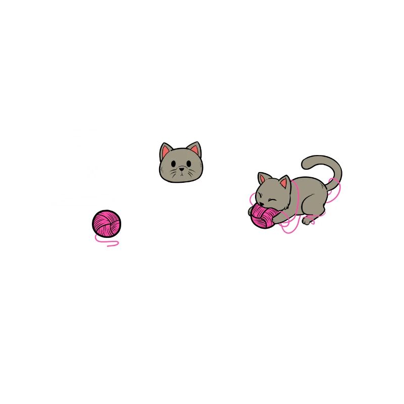 String Théorie Chats Physique Quantique Formule chat