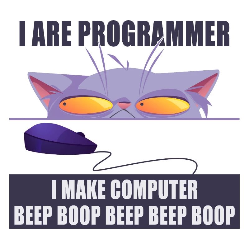I are programmer