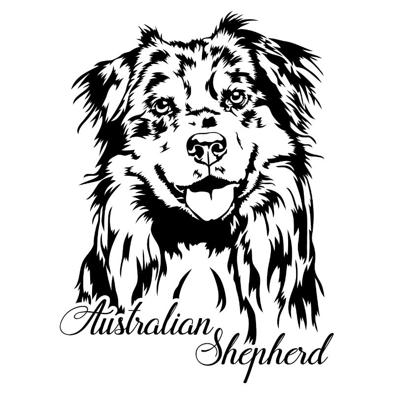 Australian Shepherd Aussie Portrait Hunde Wilsigns