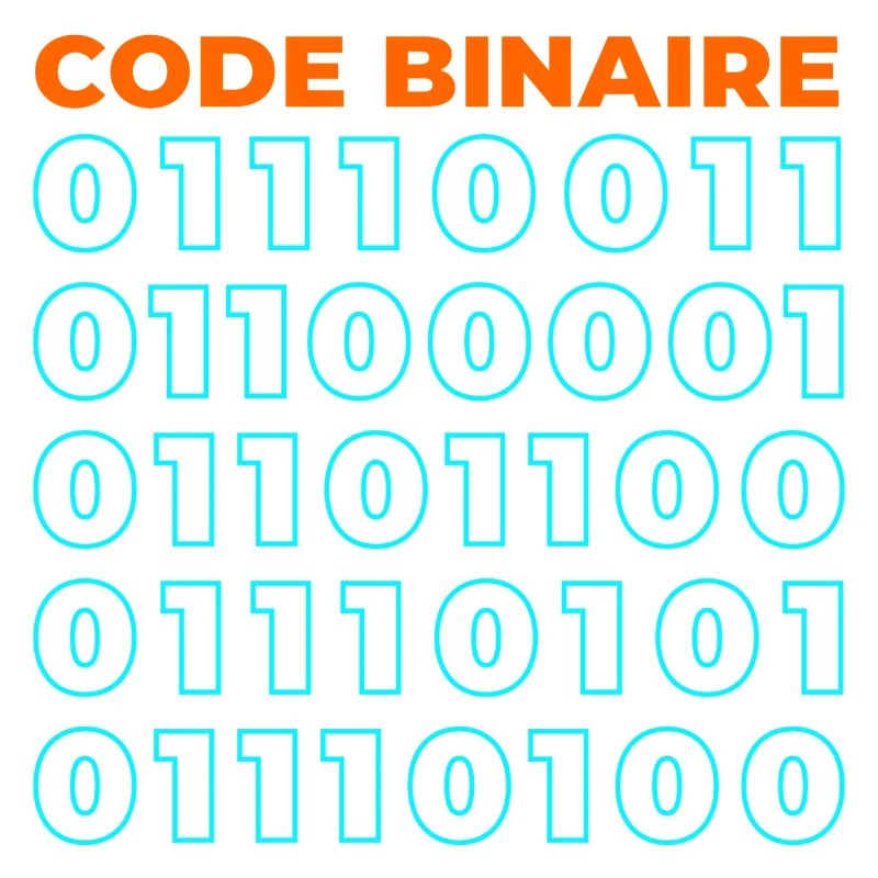 Code binaire