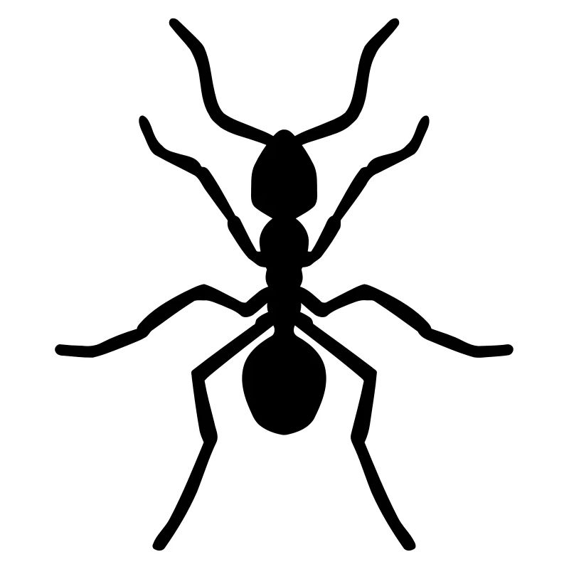 Ant
