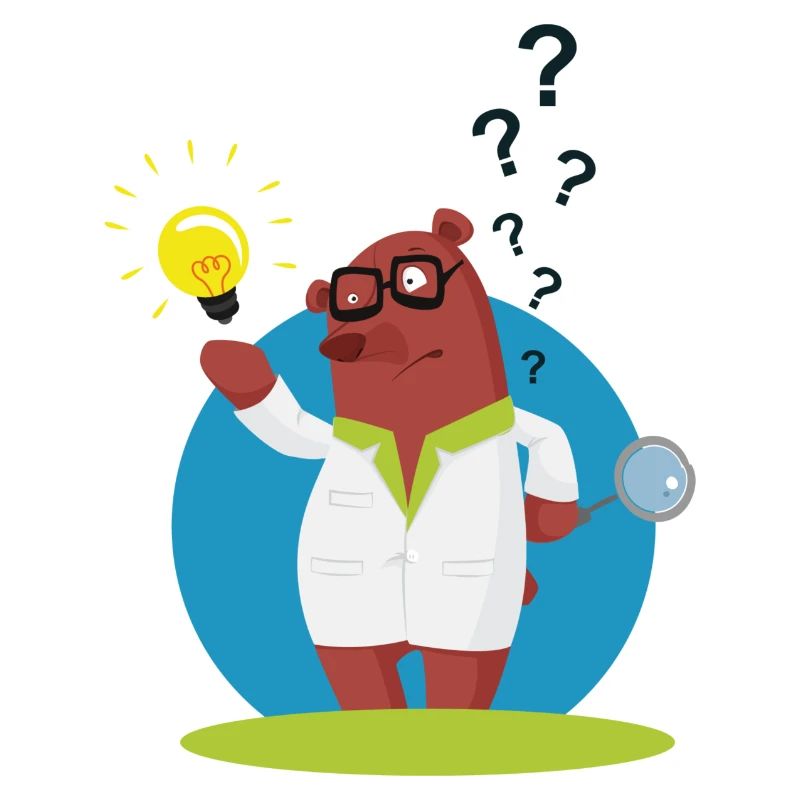 Explainer bear